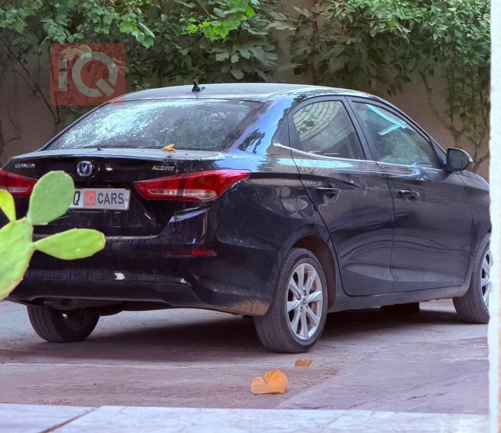 شانجان السفن